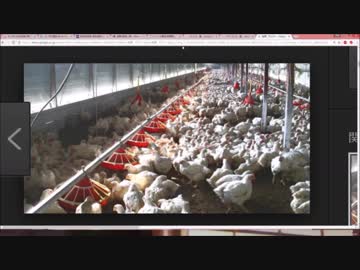 安倍内閣が国民をダマして移民を入れている理由（庶民の家畜化が目的）