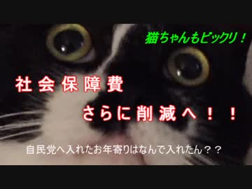 社会保障費削減へ！！ｗｗ