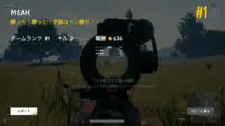 〖PUBG〗DUOでアンチに恵まれてドン勝つ