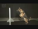 こうやって飛び越えるんだ　武井雅人