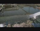 朝の4時19分に新聞配達が2台できてしゃべり声、犬吠え声