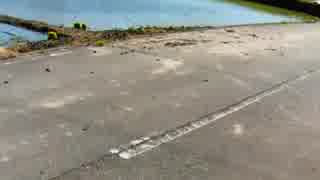 百姓がまいた土煙を車で巻き上げる様子を撮影しました