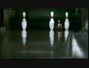 こういうピンの並びって難しいよね　武井雅人
