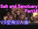 【Salt and Sanctuary】空飛ぶ入歯と毒多めのマップ【実況】Part14