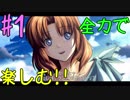 【実況】最高難易度でイースIIの物語を全力で楽しむ part1