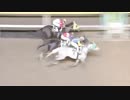 2017年10月26日船橋競馬11R 三里塚特別(A2以下) ハードクラップ
