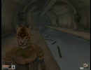 Morrowind ヘタレひとり旅 part50