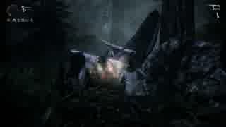 【作家よ】いまさらの ALAN WAKE/アランウェイク実況 第10回【銃をとれ】