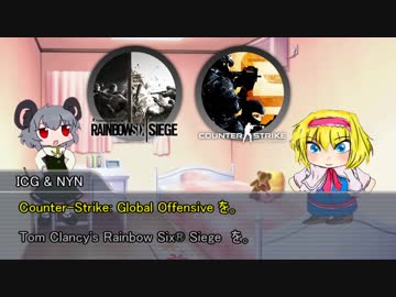 大人気5on5チーム戦FPSをプレイするNYNICG.csgo