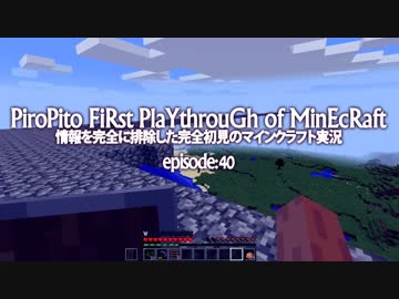 情報完全遮断完全初見でマインクラフト#40
