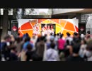 【学祭で踊ってみた】学院Aqours＆810pro 早大学院学院祭2017【2日目1回目】