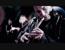 洋楽メタル紹介 “1772”　Eluveitie　-　Rebirth