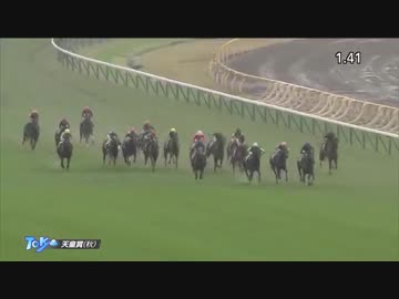 2017年　第156回 天皇賞（秋）（GⅠ）【キタサンブラック】