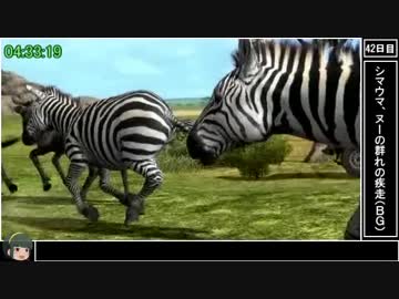 【RTA】AFRIKA 6:18:09 （8/11）