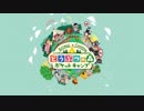 【実況】どうぶつの森ダイレクト2017.10.25【がっとれー】