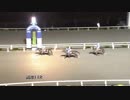 2017年10月28日高知競馬11R ハロウィン特別(C2-1組) コウユーアンドレ