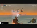 Part 45 100％RTA　ゼルダの伝説 BotW 48:52:57