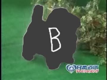 愛犬ロボ「B君」_1