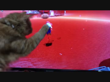 スーパーマリオオデッセイに食いつく子猫