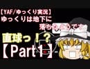 【ゆっくり実況】ゆっくりは地下に落ちたようです【Part1】