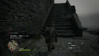 【part10】竜と妖精の物語【DDDA】