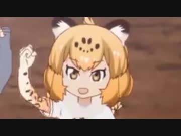 STAND UP TO THE VICJAGUAR