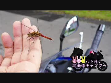 ゆかりさんと行く北海道キャンツー2017 Part2