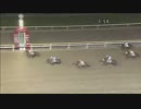 2017年10月30日大井競馬10R いたばし二輪草特別(B1-二・B2-一) サンドプラチナ