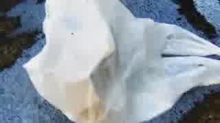 車から家にゴミを投げ捨てられました