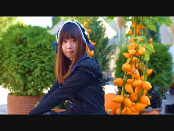 【るぉ】パンプキンズナイトメア【踊ってみた】