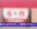 A列車で行こう7リプレイ第03回 二瀬村営軌道-『閑話休題』