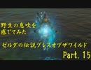 野生の息吹を感じてみたゼルダの伝説ブレスオブザワイルド　 part15