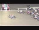 2017年10月31日大井競馬10R 水彩都市・江東特別(B2-三組) ドリームフォー