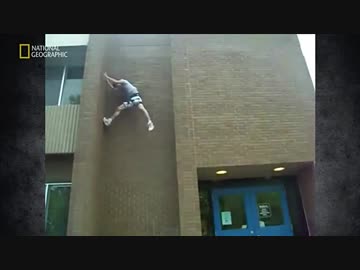 カバを逆さ その八