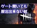 【DBD】殺人鬼と本格的鬼ごっこしてみたｗｗｗ Part2【実況】