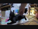 【Jean & Pont 651】保護猫から家猫へどんどん変化しています