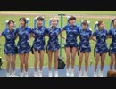 プロ野球　チアガール