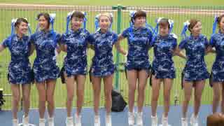 プロ野球　チアガール