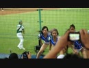 プロ野球　チアガール