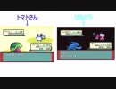 【コラボ】ポケモンアルタイル シリウス ひなどりvsトマトさんpart4