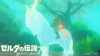 【実況】新たな冒険へ！ゼルダの伝説 ブレスオブザワイルド ぱーと79