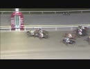 2017年11月2日大井競馬9R にぎわい都市新宿賞(B2-四組) ムサシトレジャー