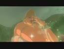Part 66 100％RTA　ゼルダの伝説 BotW 48:52:57