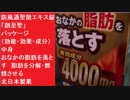 防風通聖散エキス錠「創至聖」 パッケージ（効能・効果・成分）　中身　おなかの脂肪を落とす　脂肪を分解・燃焼させる　北日本製薬
