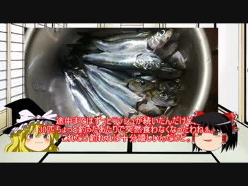 ゆっくり達と食料を調達するVol.7 【釣り】MUR半島 花暮岸壁サビキ釣り