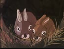 シートン動物記　第4話　ギザ耳うさぎ