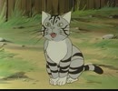 シートン動物記　第6話　裏町の野良猫