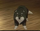 シートン動物記　第19話　名犬ビンゴ