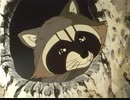 シートン動物記　第20話　キルダー川のあらいぐま