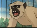 シートン動物記　第22話　暴れ猿ジニー
